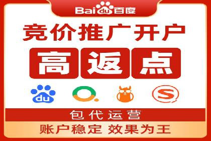 SEM广告投放的精准定位与优化案例